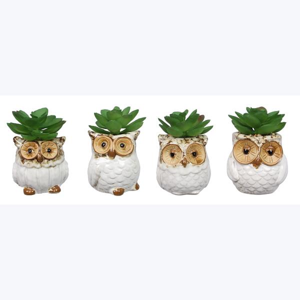 Asst Stoneware Owl Whitewashed Succulent Planter