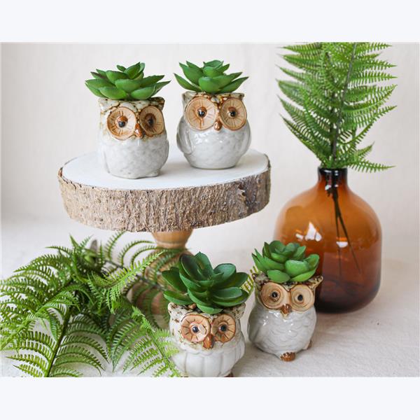 Asst Stoneware Owl Whitewashed Succulent Planter