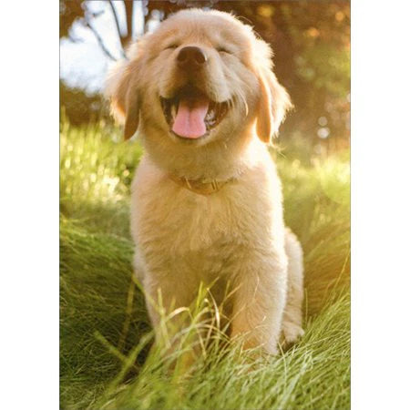 Golden Retriever Puppy Mini Card