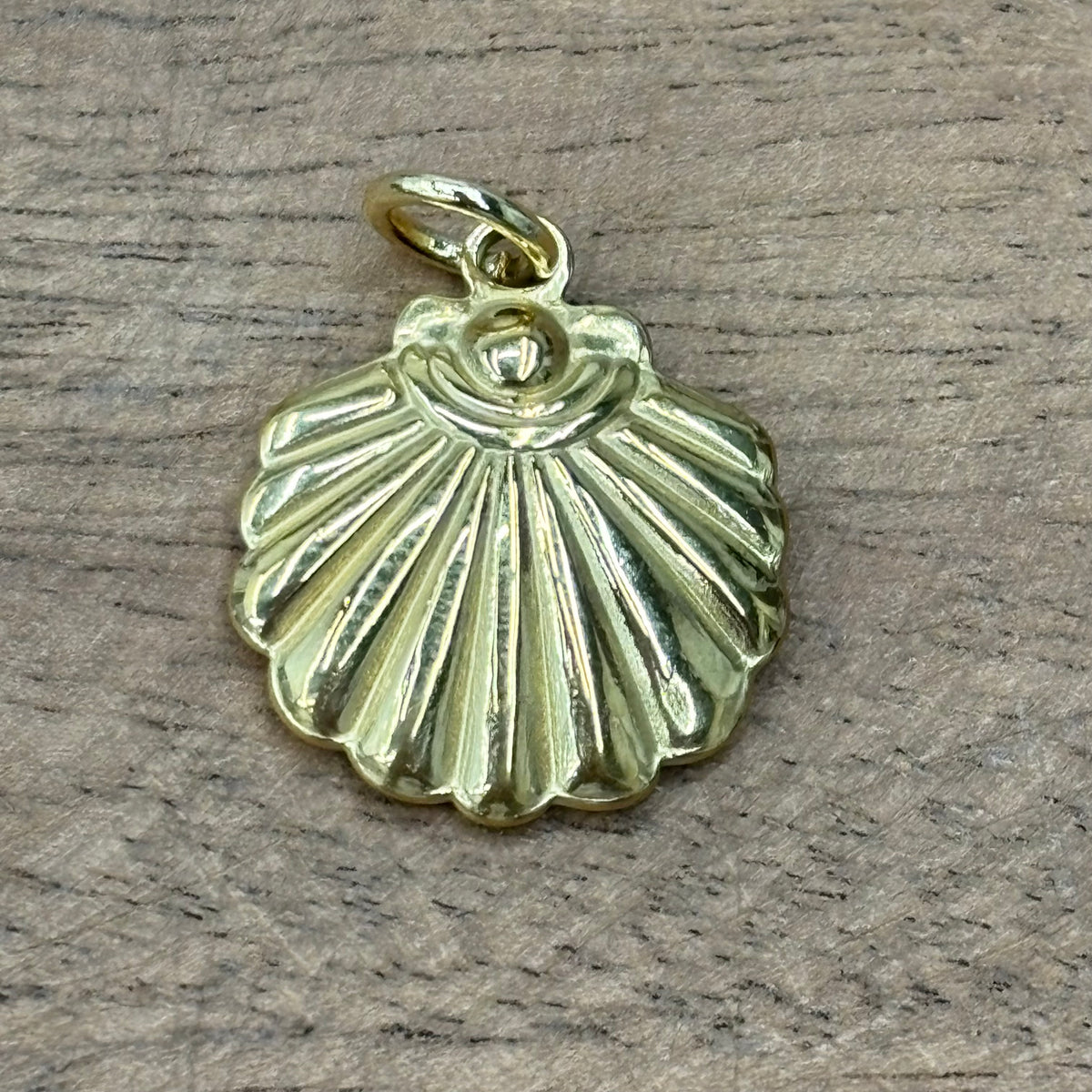 Clam Shell Charm