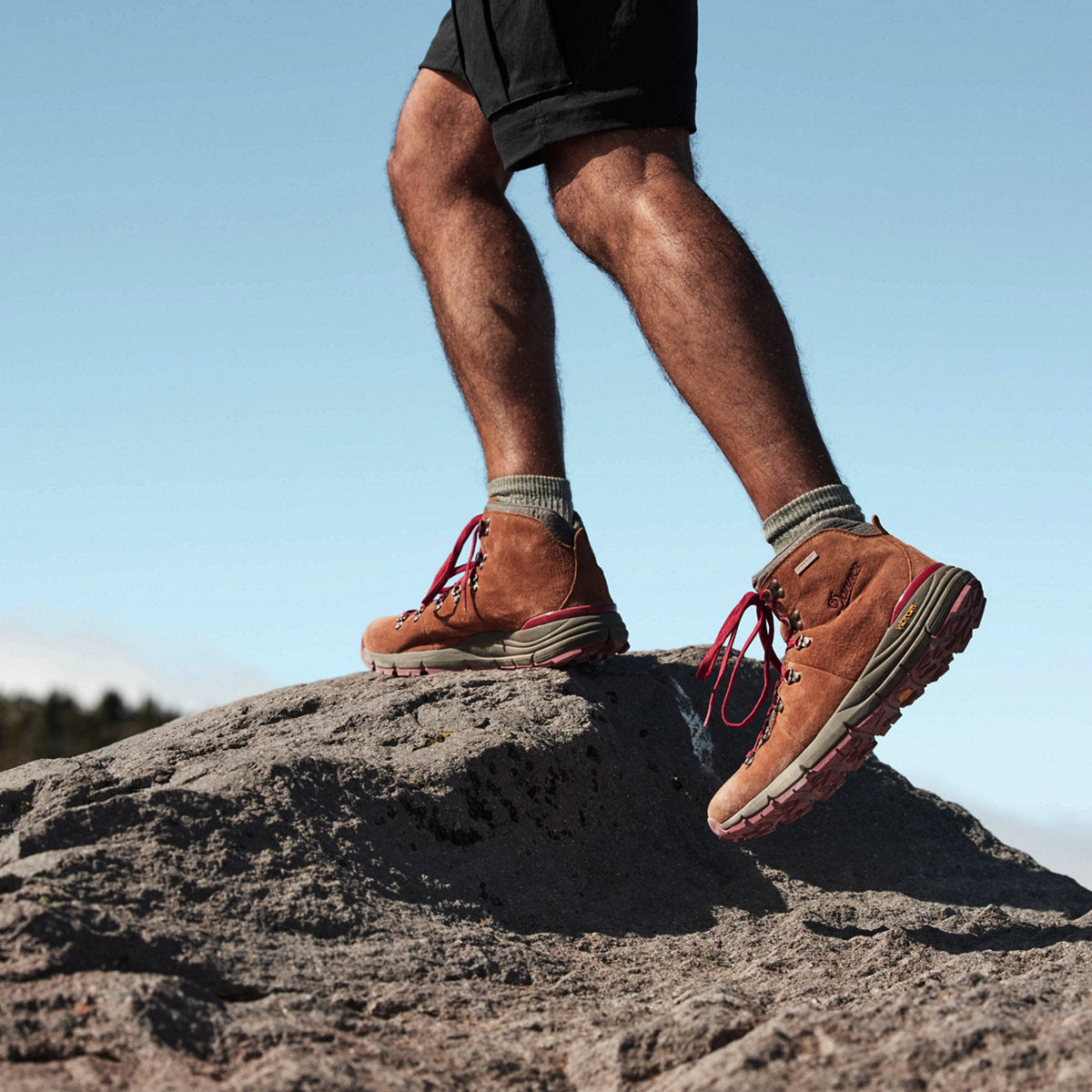 Danner Men&#39;s Mountain 600 4.5&quot; Brown/Red