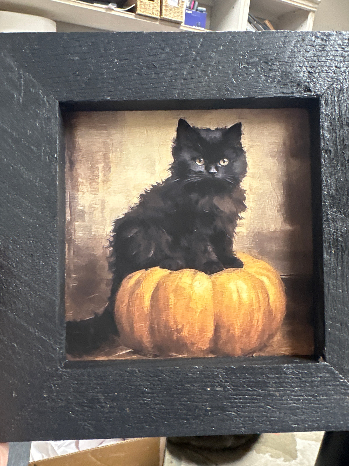 Cat on Pumpkin - small