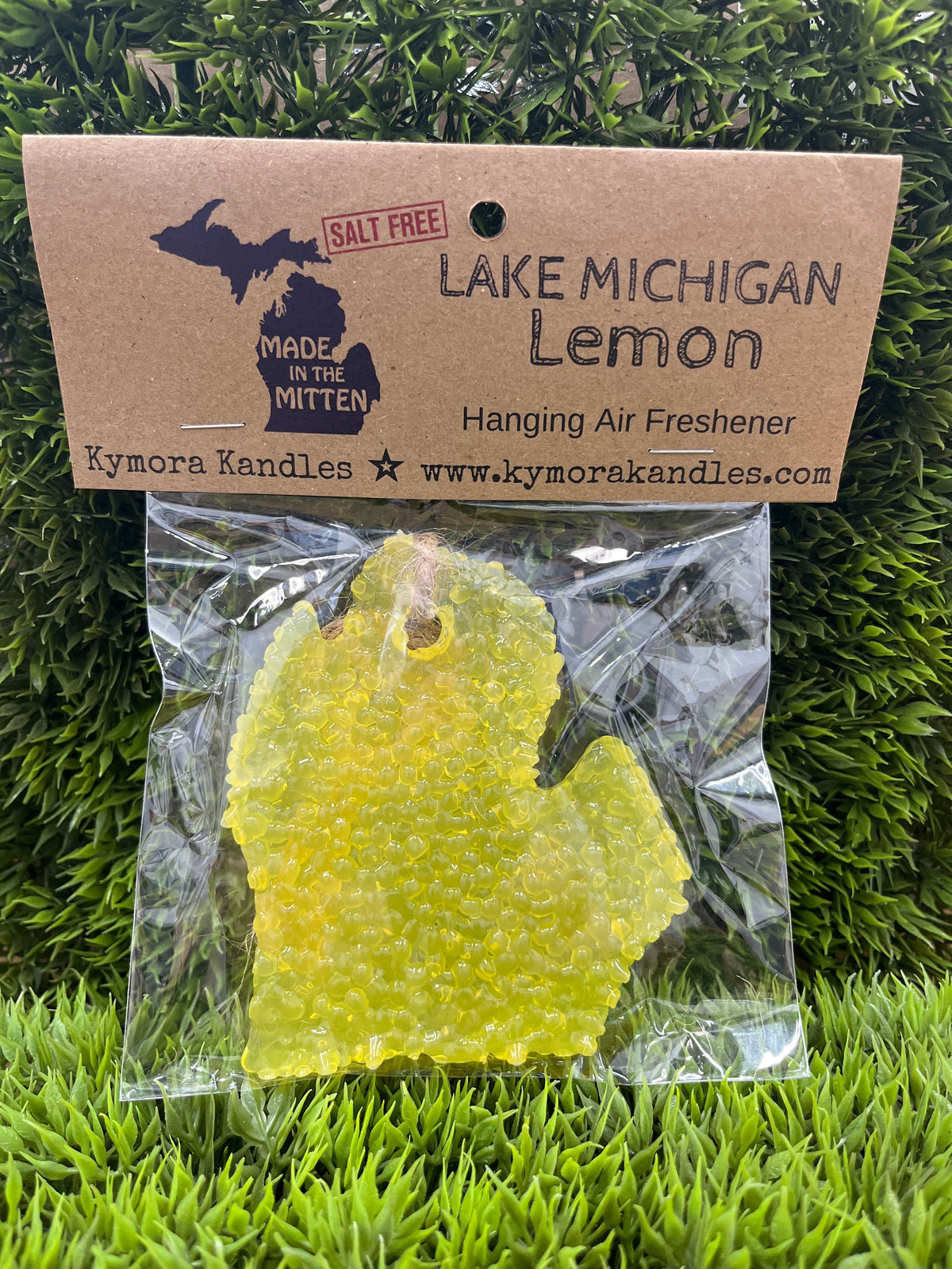 Michigan Hanging Car Air Freshener