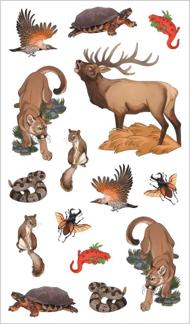 Wild, Wonderful Tattoo Woodland Animals Book