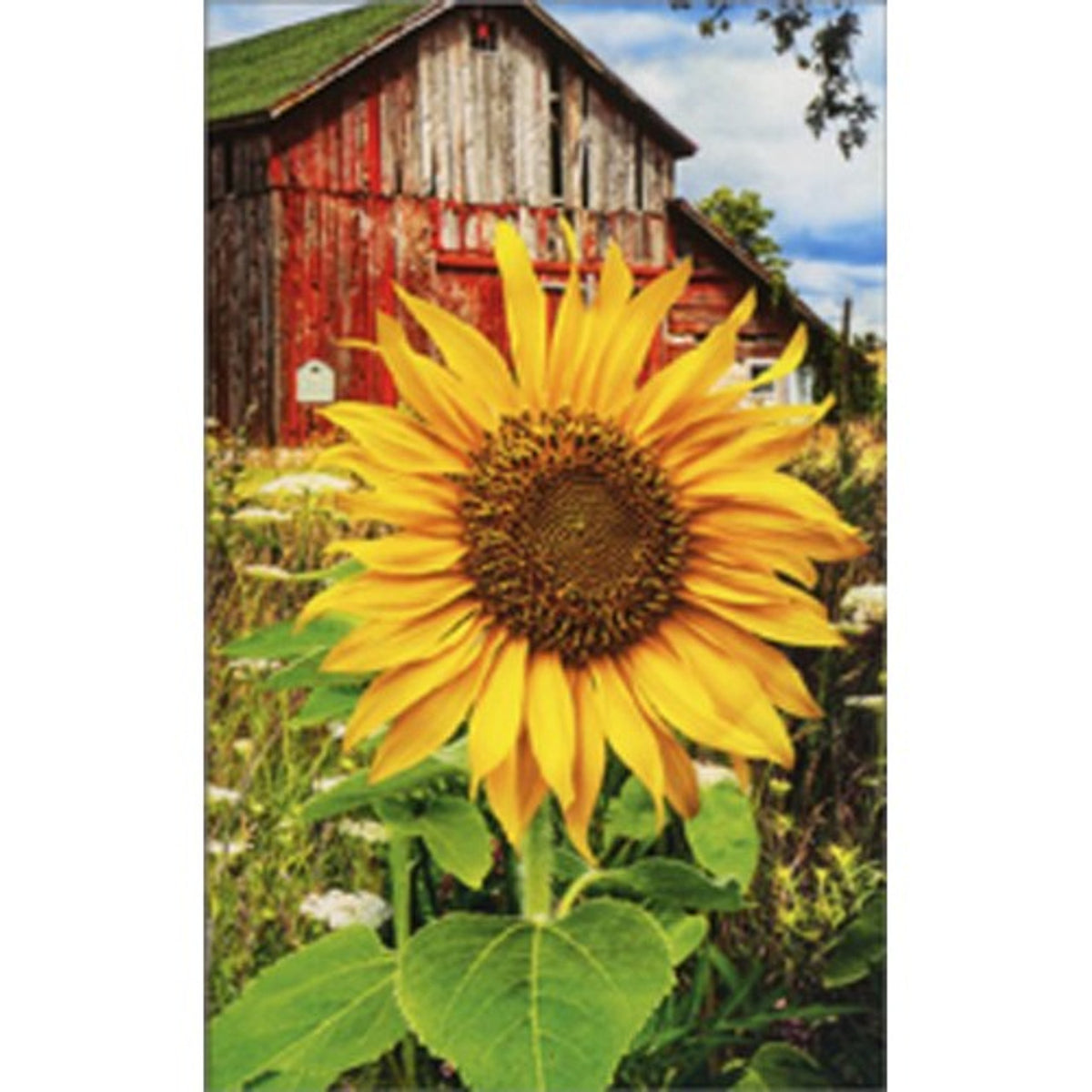 Sunflower and Barn Mini Card