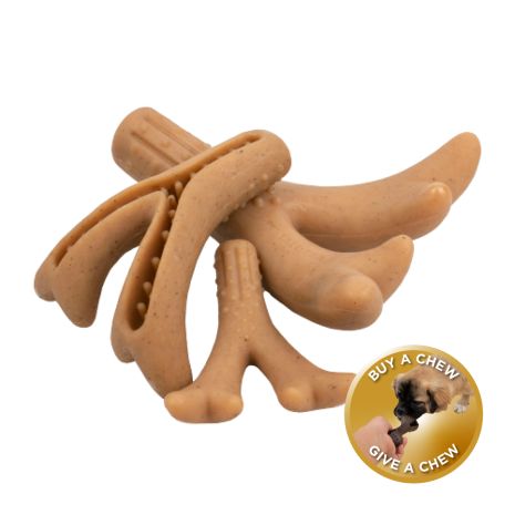 Tall Tails  Antler Chew Dog Toy