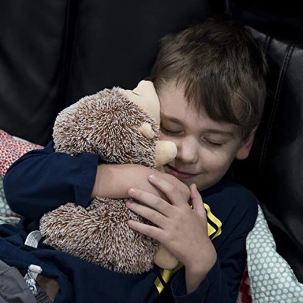 Harley Hedgehog Warm Pals