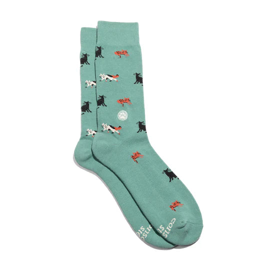 Frisky Felines - Socks That Save Cats