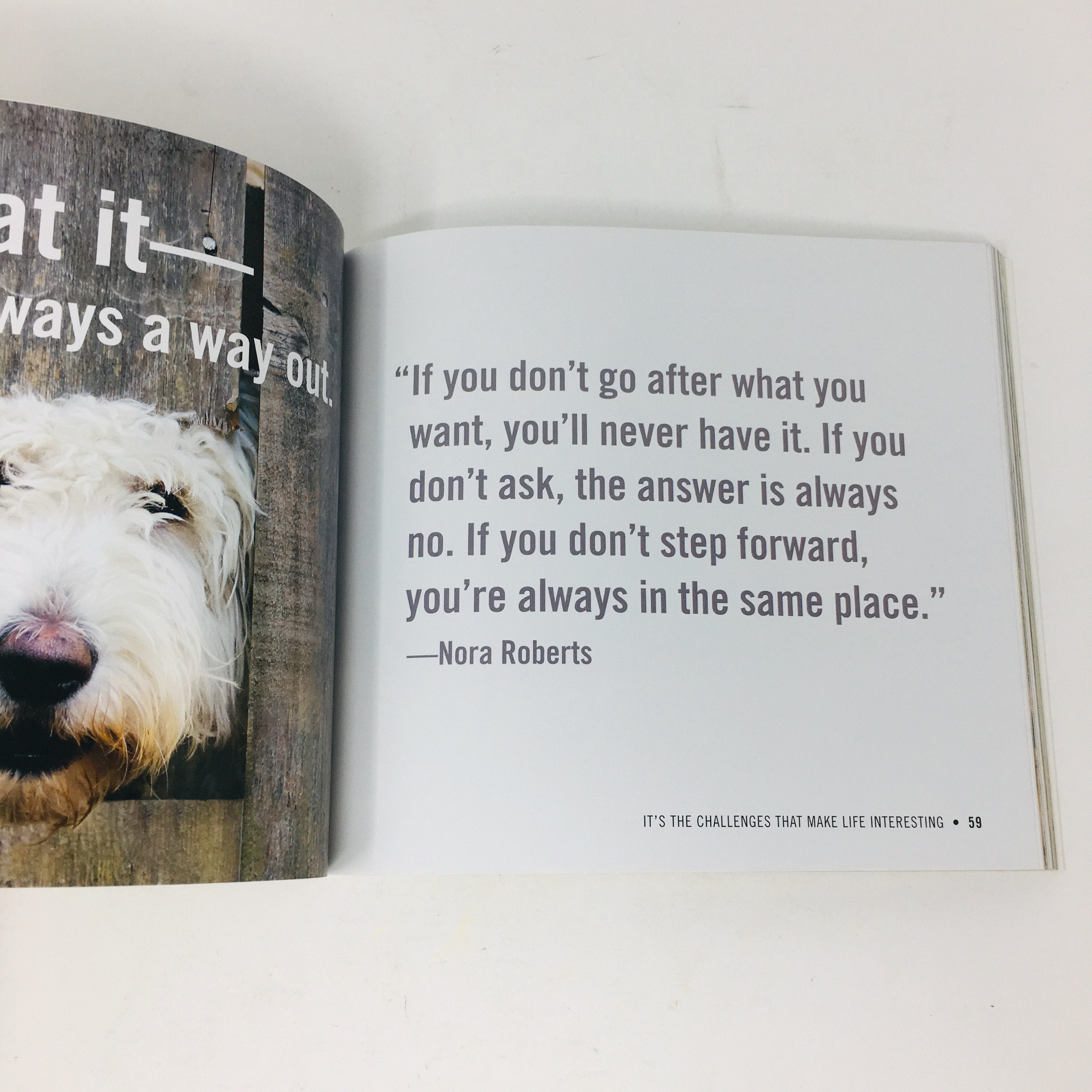 Really Important Stuff My Dog Has Taught Me [Book]