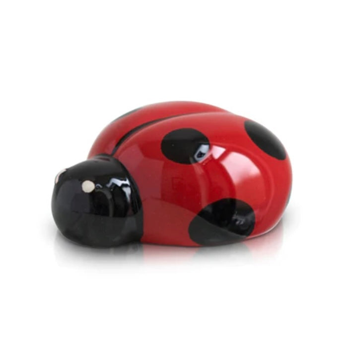 Lil&#39; Ladybug Nora Mini